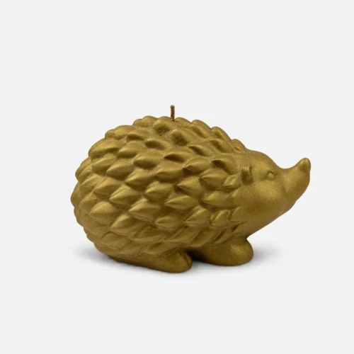 swieca-zlota-jez (2).webp